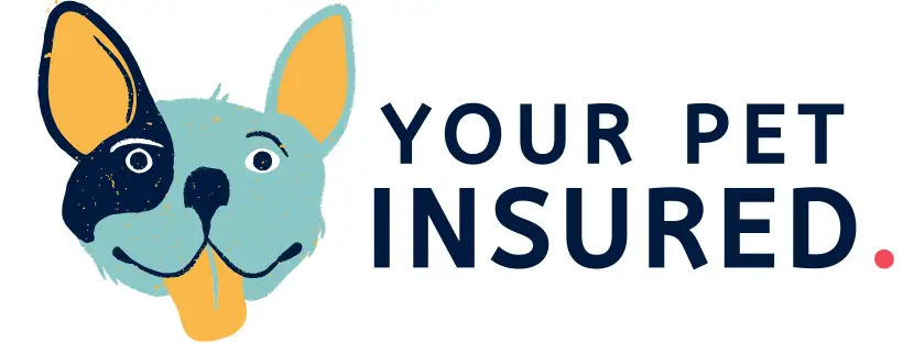 Your Pet Insured