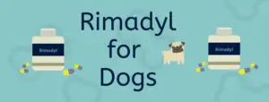 Read more about the article Rimadyl for Dogs