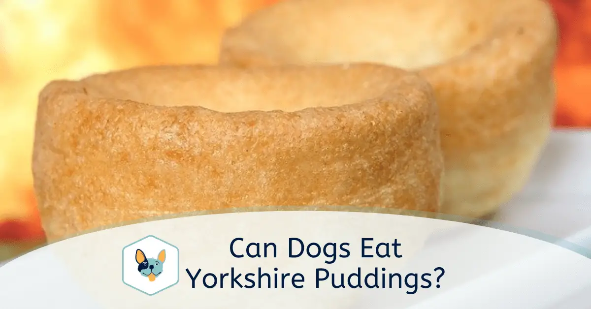 Read more about the article Can Dogs Eat Yorkshire Puddings